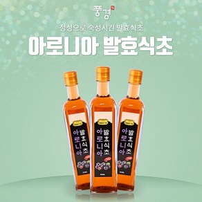 풍경 정성으로 숙성시킨 전통 발효액 식품 아로니아 발효식초 500ml, 0.5l, 1개