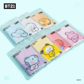 BT21 minini 미니니 Passport case 여권케이스 여권지갑 굿즈