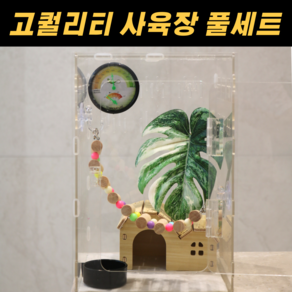 필핏 크레스티드 게코 사육장 도마뱀 파충류 은신처 세트, 1세트, 몬스테라