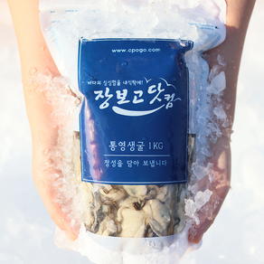 통영직송 최상급 생굴 싱싱 지퍼백 포장, 통영생굴 3kg, 1개