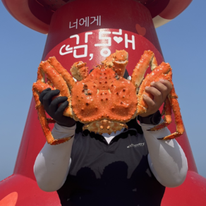 산지직송 최상급 러시아 자숙 레드킹크랩 3kg 3.5kg 4kg, 99박스, 3kg 내외 (1미)