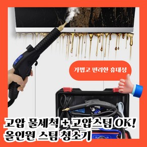 스팀젠 고압 물세척이 가능한 스팀청소기 분사기 강력 살균기 세차기 업소용 청소업체 용품, A-01