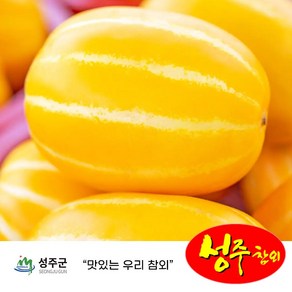 [고당도 천상의 맛] 꿀맛 가정용 대과 성주 참외, 1박스, 가정용 1kg 3-7개 내외