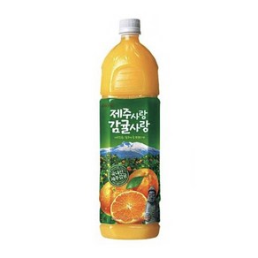 롯데칠성 롯데 제주사랑 감귤사랑 1.5L 12PET, 12개