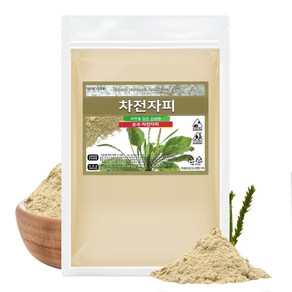 차전자피 가루 분말 질경이씨앗껍질 500g, 1개