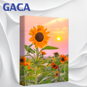 GACA 선명한 5D 액자 보석십자수 캔버스형 DIY 키트 40 x 50 cm, 해바라기, 1세트