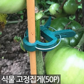 식물 화분 고정 집게 50P - 클립 핀 식물 꽃 지지대 줄기 작물 화초 난 덩쿨 넝쿨 줄기 끈 대 타이 철사 후크 분갈이 원예 용품 정리 오이 호박