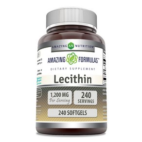 어메이징뉴트리션 Amazing Nutition 레시틴 Lecithin 1200mg 캡슐 240정, 1개