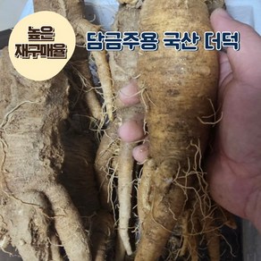 [재구매율 높음] 러브잇 국내산 산지직송 담금주용 산더덕 햇더덕, 1박스, 1kg(특)