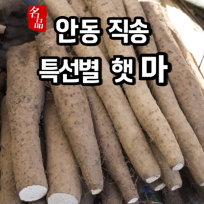 [특선별] 햇마 국산 안동 장마 생 마