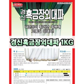 경신종묘 경신흑금장외대파 1kg 파종용 대파 씨앗 종자, 1개