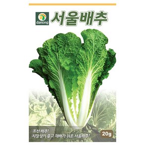 청로메인 상추 씨앗 2000립 - 상추씨앗 상추씨 청치마 쌈채소 야채씨앗 채소씨앗 채소재배 종묘 종자 베란다 텃밭 씨 씨앗, 1개