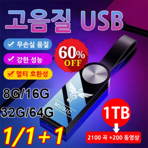 1/1+1 차량용 고음질 USB 32GB/64GB 사용편리 휴대용 고음질 USB, 비드 체인&어댑터&PP 가방*2, 64GB=2700곡&600동영상