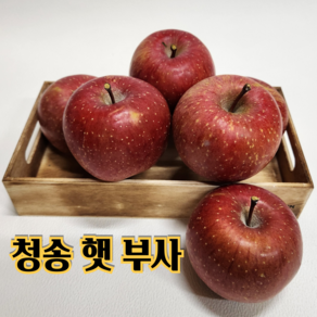 [산지직송 당도선별] 햇사과 청송 꿀 사과 2kg 3kg 5kg [가정용 정품 혼합]