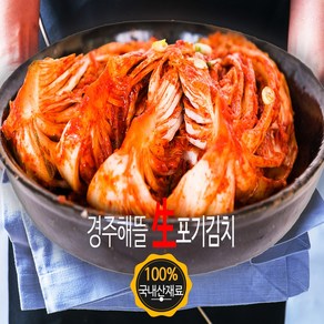 해뜰푸드 김치삼촌 경주해뜰포기김치, 10kg, 1개