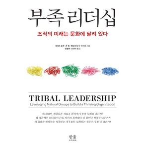 부족 리더십: 조직의 미래는 문화에 달려 있다, 한울아카데미, 데이브 로건존 킹헤일리 피셔-라이트