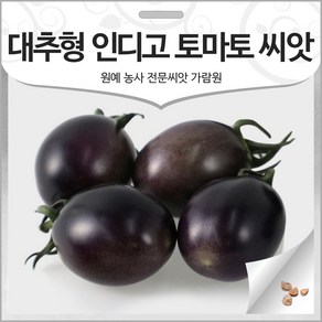 대추형 인디고 토마토 씨앗 방울 토마토 종자 10알, 1개