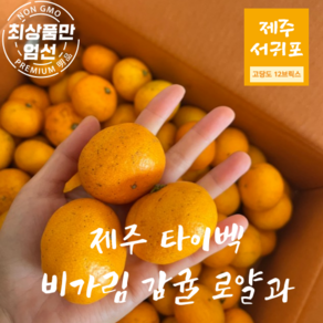 제주감귤 노지 감귤 고당도 로얄과 2S-M, 1박스, 제주 노지 감귤 3kg 로얄과(2S~M)