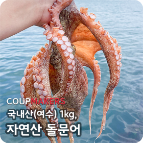 [코업메이커스] 여수산 자연산 최상급 돌문어 1KG, 1개, 1kg(1-3미)