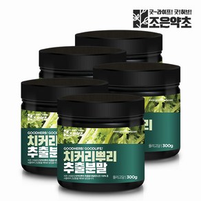 치커리 뿌리 추출물 100% 분말 가루 300g x 5, 5개