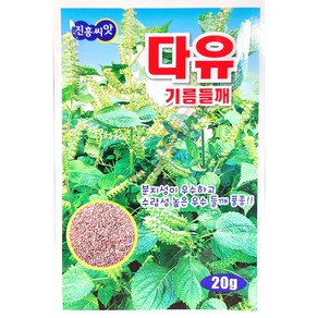 다유들깨 20g 24년 참깨씨앗 들깨씨앗 잎들깨, 1개