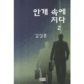 안개 속에 지다 2, 남도, 김성종 저