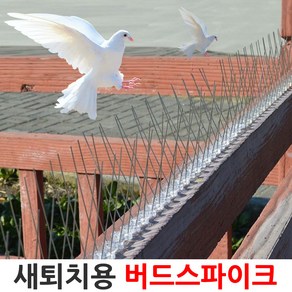 버드 스파이크 조류 비둘기 퇴치 베란다 실외기 차단