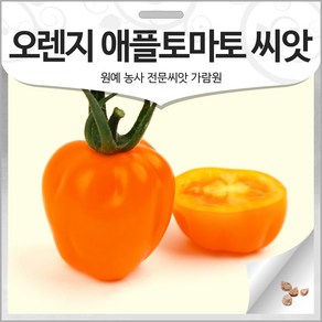 오렌지 애플 토마토 씨앗 방울 토마토씨 채소 10알, 1개