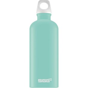 SIGG - 알루미늄 물병 여행자 스위스산 탄산 음료 재활용 BPA 프리 591.5ml(20온스) / 963.9g(34온스)271859, 20.3 Ounces, Leaf Geen