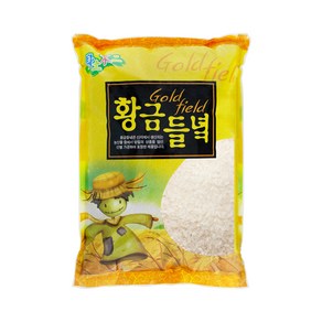 현대농산 국산 황금들녁 백미 쌀 4kg, 1개