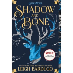 Shadow and Bone : A Global and Critical Perspective