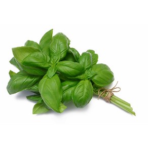 바질 생잎 허브 100g BASIL 페스토 향신료, 1개