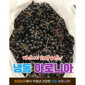 빠르게 해동되는 냉동2023년 햇 줄기제거 아로니아 1kg 단위 지퍼백 ( 냉동 급냉 ) 아로니아 아로니아생과 아로니아분말 냉동아로니아 블루베리 아로니아가루 아로니아원액 아로니아