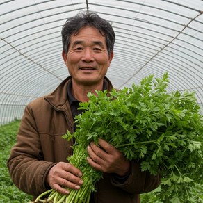 [백화점납품 최상품] 당일수확 산지직송 청도 한재 미나리, 1개, 500g