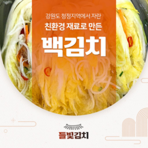 들빛김치 백김치 5kg, 1개