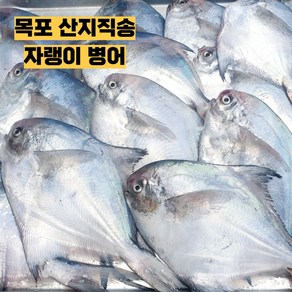 국산 자랭이 병어 목포 산지직송