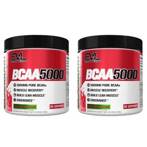 EVLUTIONNUTRITION BCAA 5000mg, 2개, 249g