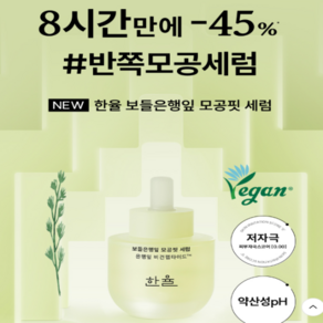 [한율] 보들은행잎 모공핏 세럼 40ml + 보들은행잎 모공핏 마스크 기획세트, 1개