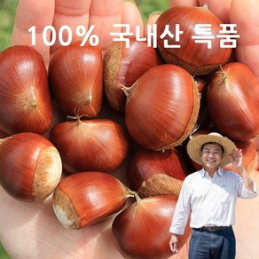 [산지직송]특품 공주 햇밤 100% 국내산 알밤 생율, 1박스, 2kg