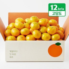 탐라왕 당도선별 타이벡 노지감귤 5kg(로얄과/2S~M), 없음, 1개