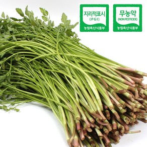 무농약 청도 한재미나리 1kg