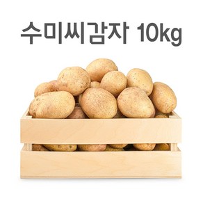 영진팜 강원도 대관령 왕산면 정품 씨감자 4kg 10kg 20kg 보급종 수미 두백 필대성, 수미감자