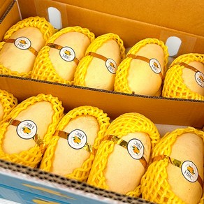 항공수입 골드망고 옐로우망고 고당도, 1개, 4kg(8-12과)