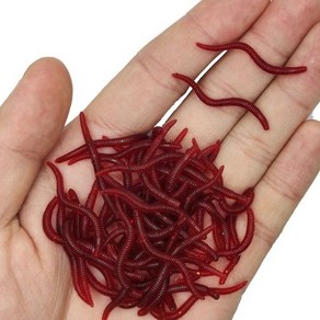 밑밥 실물 같은 PVC 소프트 루어지렁이 낚시실리콘 물고기 새우 벌레물고기 냄새 인공 미끼100 개, 02 3 5cm Dak ed, 1개
