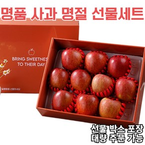 2025 설 명절 RED 부사 사과 특품 10과 선물세트, 1세트, 3KG(개당300g내외)