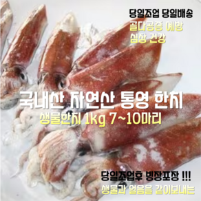 [산지직송] 국내산 자연산 거제. 통영 한치회 1kg 7~10마리 1박스