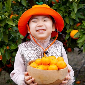 제주 서귀포발송 초고당도 제철 노지 감귤, 1박스, 2.5kg(중대과)