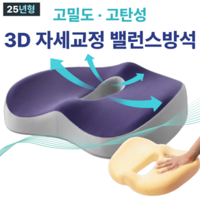 레조나래 기능성 쿠션 3D 메모리폼 치질방석, 네이비