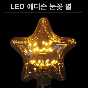 LED 에디슨 전구 눈꽃 별 2.5W 동성 SSEN, 100개