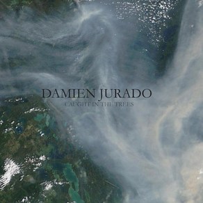 Damien Juado LP 엘피판 - Caught in the Tees (미국 발송)
